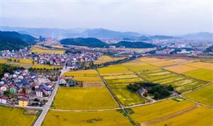 美麗鄉村建設市場投資潛力巨大且發展前景廣闊