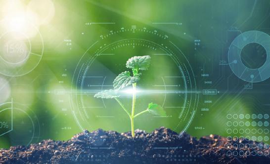 農業生物技術行業深度分析2024