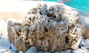 高鈣石行業市場需求及未來發展趨勢展望