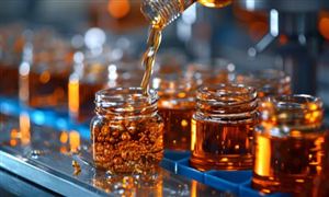 2024中國助燃劑行業市場現狀深度調研及投資機會分析