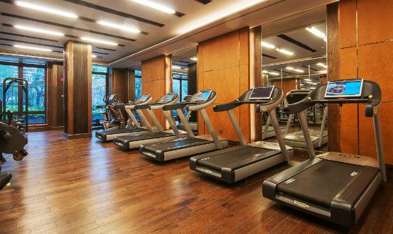 2024跑步機行業市場現狀及競爭格局、未來前景分析