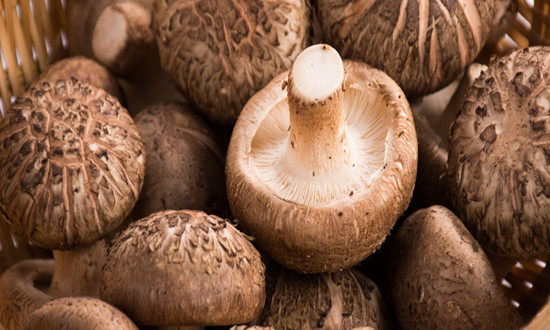 食用菌行業(yè)市場預測 2024我國食用菌年產(chǎn)量已達4000多萬噸