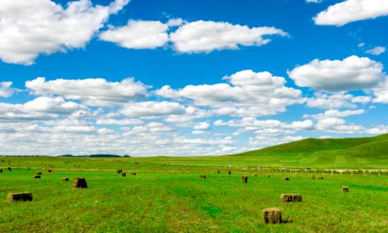 我國優質牧草種質資源完成首次太空艙外暴露實驗 優質牧草行業未來前景研究