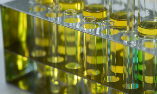 生物柴油行業發展現狀及未來市場空間2024