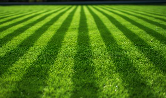 中國人造草坪行業應用場景及市場現狀