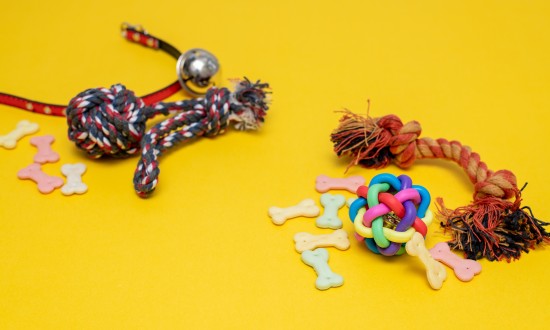 2024年中國寵物玩具行業的產業鏈上下游結構及重點企業情況