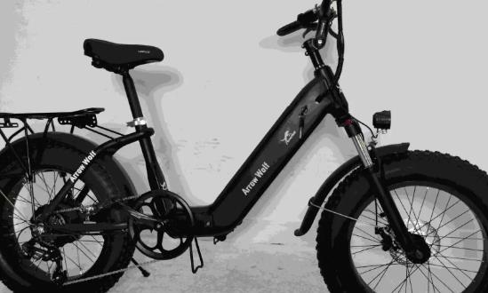 2024電動(dòng)自行車(chē)行業(yè)市場(chǎng)投資潛力預(yù)測(cè)報(bào)告