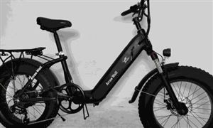 2024電動自行車行業市場投資潛力預測報告