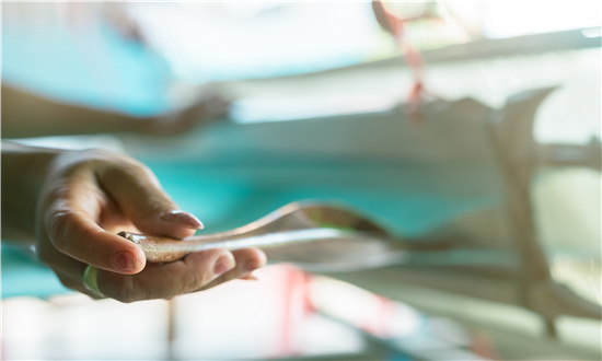 2024年中小企業行業市場發展現狀及未來發展前景趨勢分析