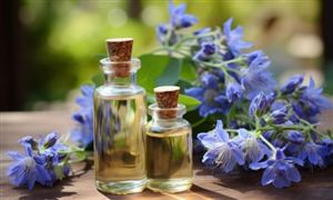 精油產業發展現狀及市場規模、消費需求趨勢分析2024