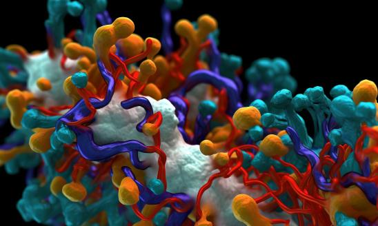 酶制劑產(chǎn)業(yè)市場(chǎng)現(xiàn)狀與子行業(yè)發(fā)展分析