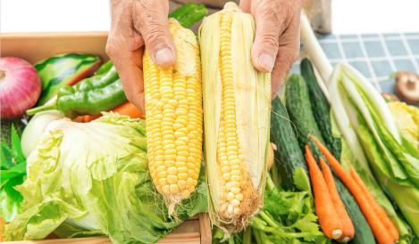 中國農產品檢測行業市場全景調研與發展前景預測