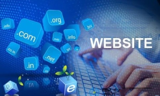 2024年中國(guó)域名管理行業(yè)的市場(chǎng)發(fā)展現(xiàn)狀及投資前景分析