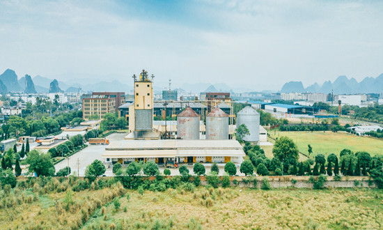 2024高蛋白飼料行業(yè)市場現(xiàn)狀及趨勢前景分析 預(yù)計2029年全球動物飼料大豆?jié)饪s蛋白粉市場規(guī)模將達到14.02億美元