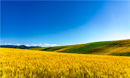 鄉(xiāng)村旅游行業(yè)市場深度分析研究  預計到2024年全國鄉(xiāng)村旅游市場規(guī)模將達到1.8萬億元