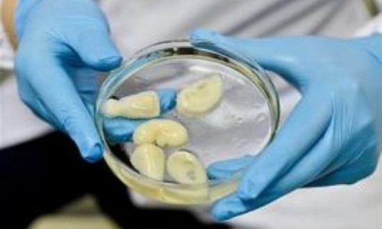 2024年中國生物材料行業的市場發展現狀及發展前景分析