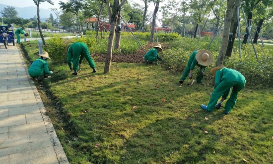 2024年中國草坪保護行業的產業鏈上下游結構及發展趨勢分析