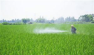 農藥市場表現如何?中國農藥制劑產量及進出口情況分析