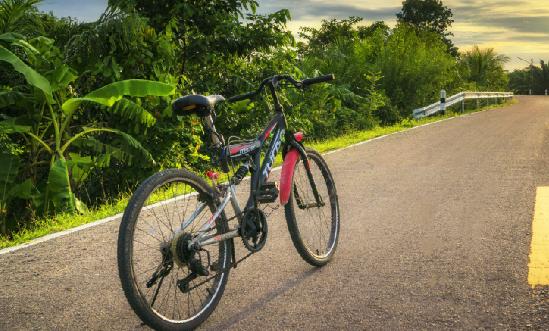 2024年自行車(chē)行業(yè)發(fā)展現(xiàn)狀及市場(chǎng)挑戰(zhàn)分析 一季度國(guó)產(chǎn)自行車(chē)出口暴增