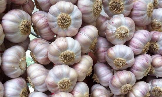 2024大蒜行業發展前景與投資機會