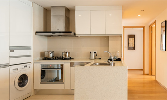 酒店式公寓行業市場全景分析報告2024