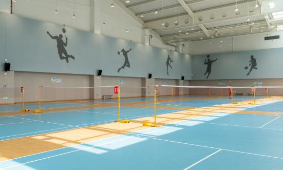 2024體育服務產業未來市場規模及發展趨勢預測