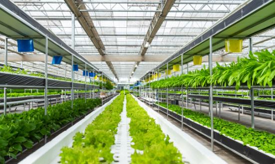 現(xiàn)代農(nóng)業(yè)行業(yè)市場分析 預計2030年全球現(xiàn)代農(nóng)業(yè)市場規(guī)模將達到數(shù)萬億美元