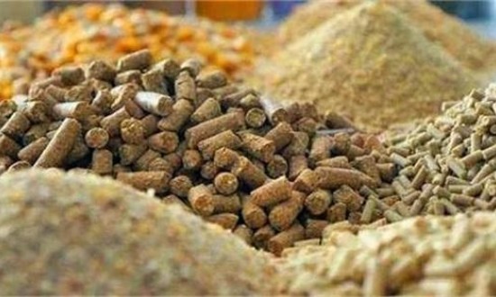 2024年食品及飼料添加劑行業(yè)現(xiàn)狀分析