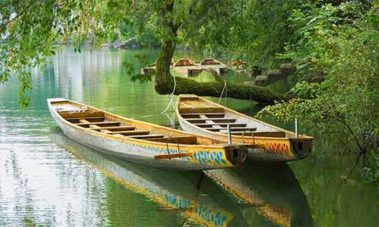 中國全域旅游行業市場深度分析2024