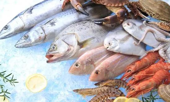 水產品行業產品入市調研與未來消費趨向2024