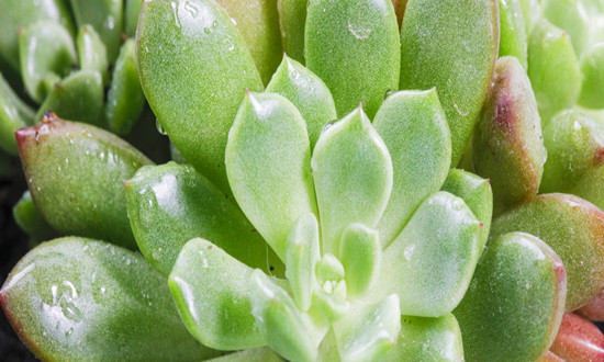 防輻射產品行業市場現狀及前景趨勢分析