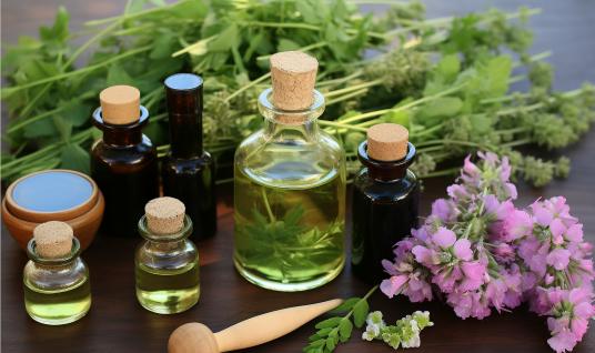 中國天然植物精油行業供需分析及競爭分析2024