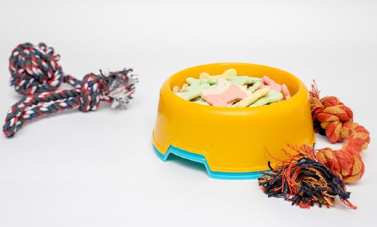 寵物經濟行業市場如何?韓國寵物產品銷量超過嬰兒用品