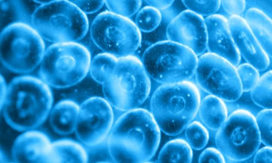 2024年中國醫療信息化市場規模、競爭格局及未來發展趨勢分析