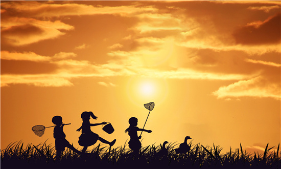 2024年中國(guó)自然教育市場(chǎng)驅(qū)動(dòng)因素、自然教育主要細(xì)分市場(chǎng)及行業(yè)未來發(fā)展投資前景趨勢(shì)