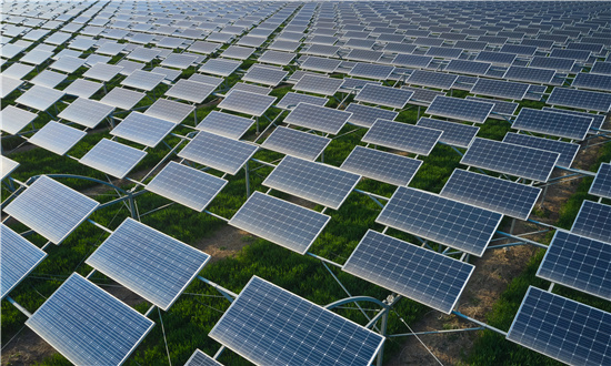 2024年中國碳中和市場驅動因素、碳中和主要細分市場及行業未來發展投資前景趨勢