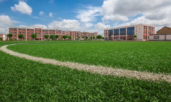 2024人造草坪行業市場現狀及細分領域市場規模分析