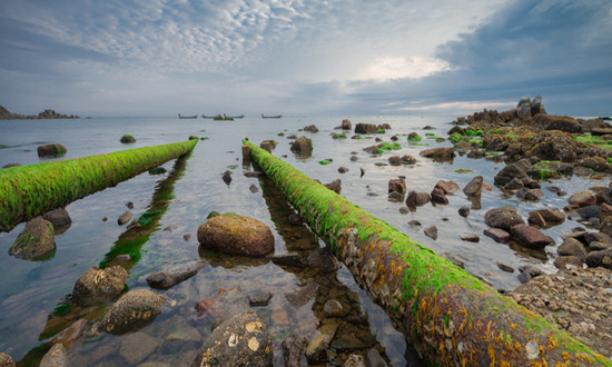 污水處理行業市場現狀及前景趨勢分析