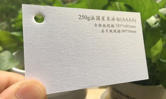 2024年中國特種紙行業的技術壁壘及投資趨勢分析