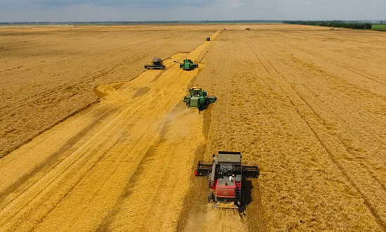 全國冬小麥收獲進度過半 小麥行業市場現狀及前景趨勢分析