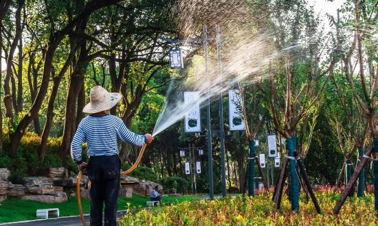 2024中國園林園藝行業市場特征及發展分析預測