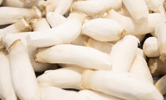 杏鮑菇行業現狀及市場競爭分析2024