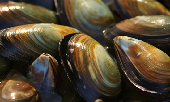 海洋功能性食品行業現狀及深度分析：預計行業供需將長期維持緊平衡狀態