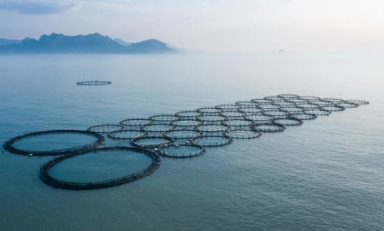 海洋生態行業市場深度分析及競爭格局分析2024