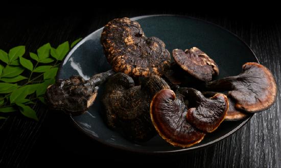 靈芝行業現狀及前景分析 靈芝藥食同源的開發和應用將會迎來新的突破