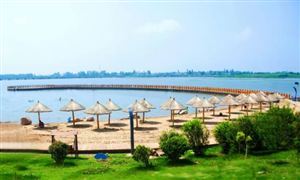 2024出境旅游市場深度調研與投資前景預測研究報告 端午節期間575.2萬人次出入境