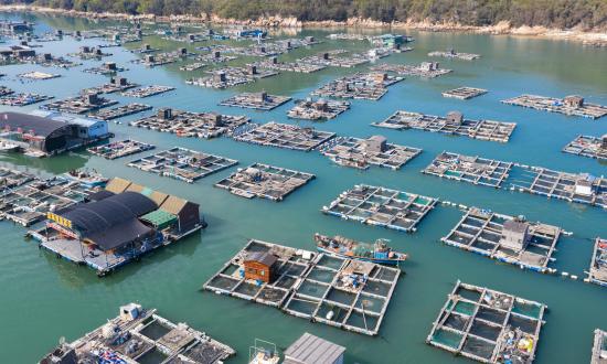 2024中國海洋牧場行業發展及功能分類概述