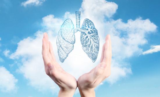 中國人工器官行業市場全景調研及未來發展趨勢預測2024