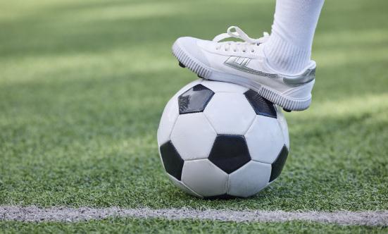 2024中國體育培訓行業市場前瞻與未來投資戰略分析