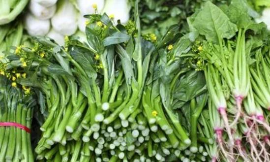 市場(chǎng)前景：有機(jī)蔬菜市場(chǎng)在過(guò)去五年內(nèi)年均增長(zhǎng)率超過(guò)20%